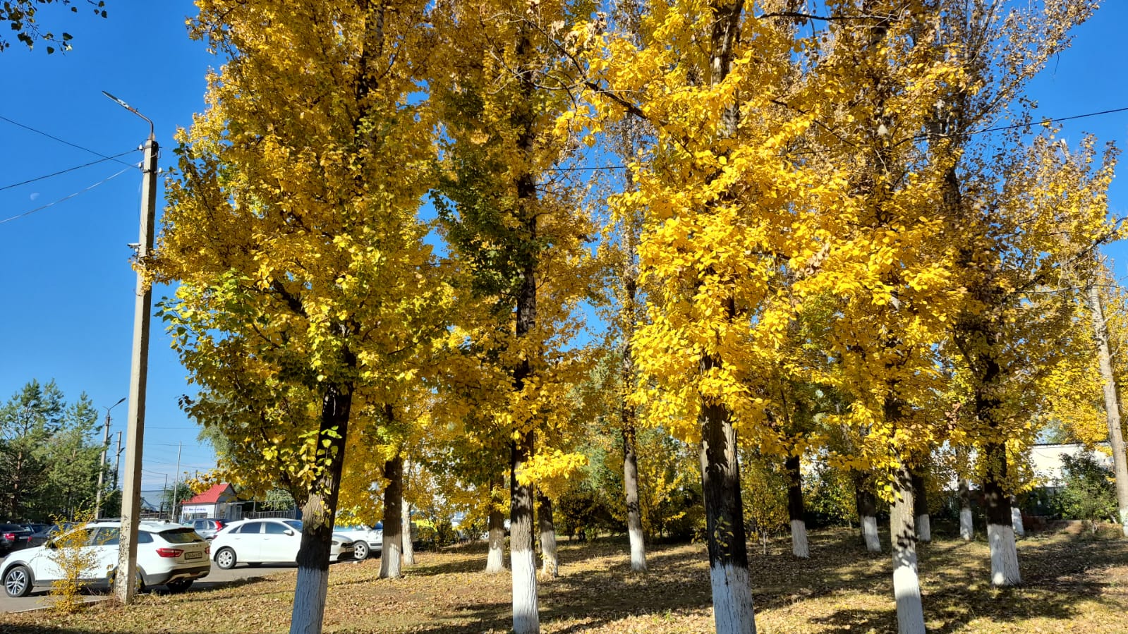 Прогноз погоды для жителей ЗКО на 14 октября